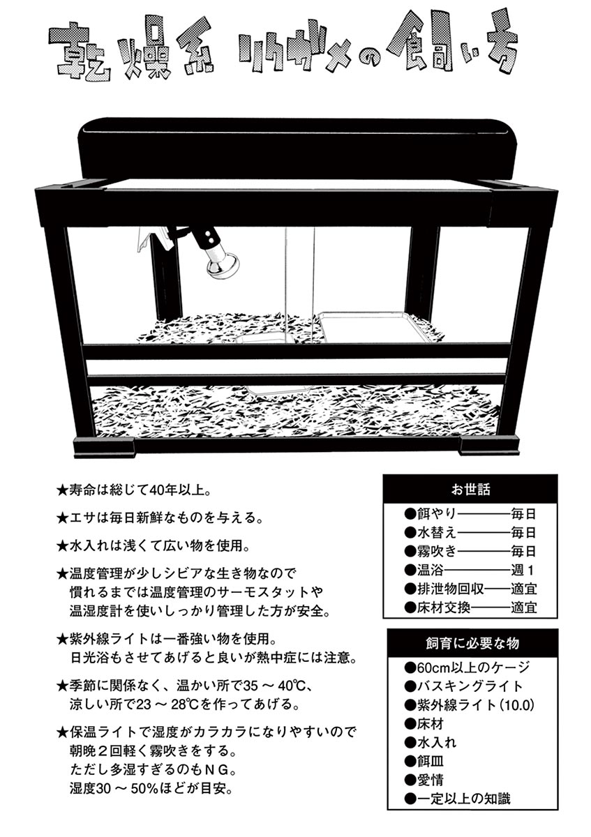 Himitsu no Reptiles Chapter 15 12ページ