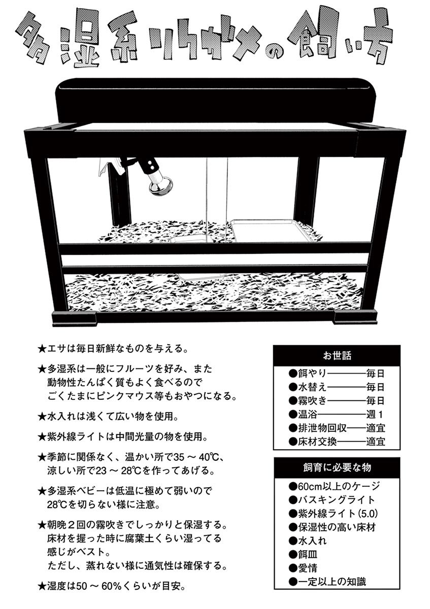 Himitsu no Reptiles Chapter 15 13ページ
