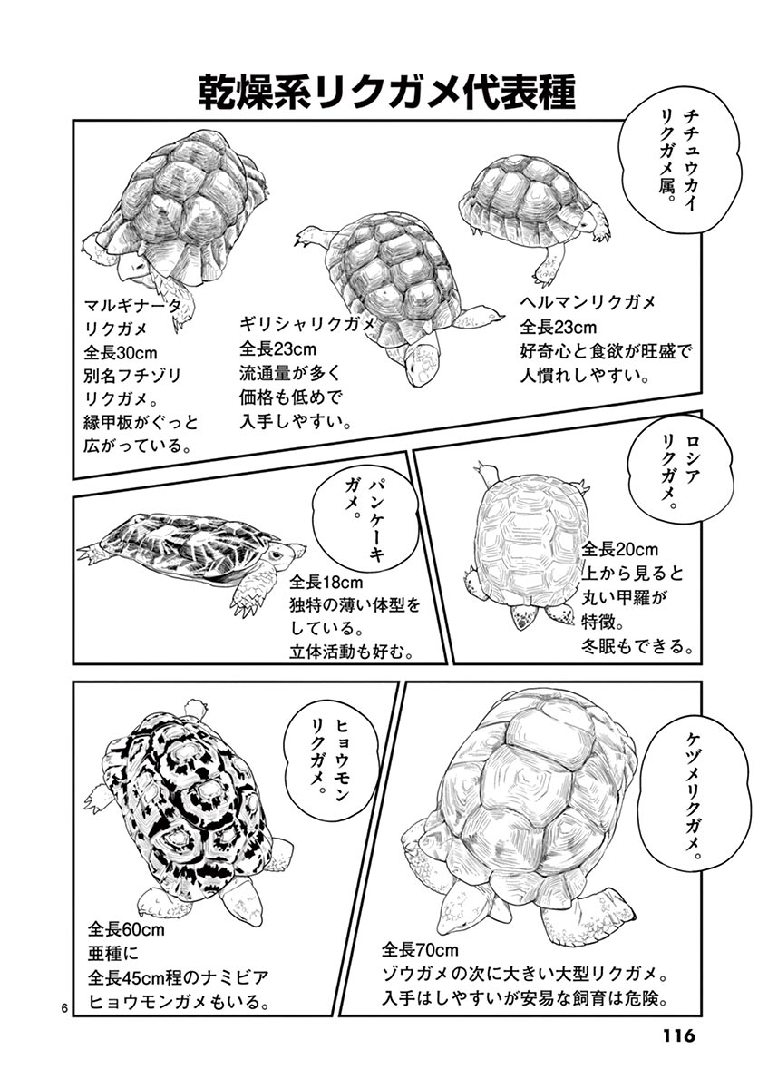 Himitsu no Reptiles Chapter 15 6ページ