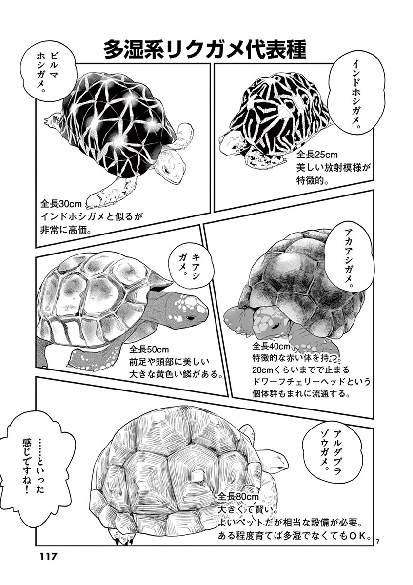 Himitsu no Reptiles Chapter 15 7ページ