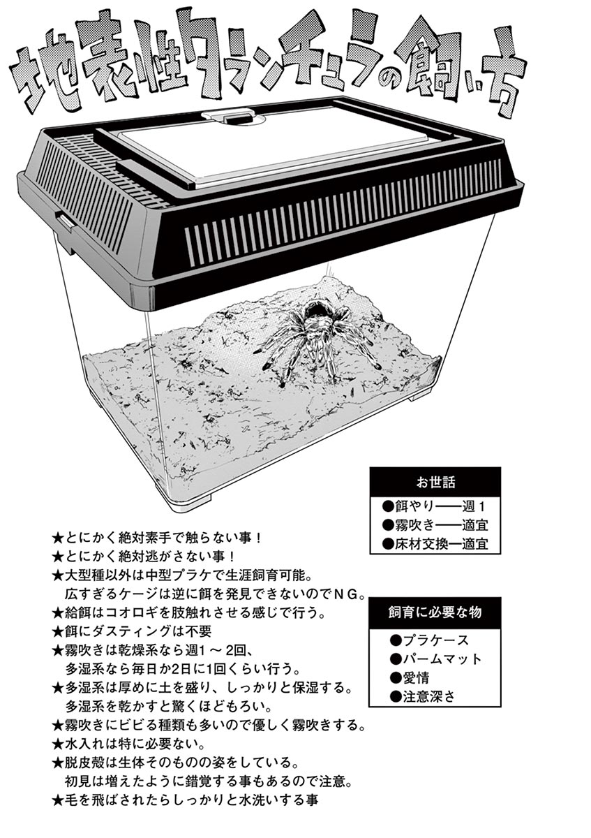 Himitsu no Reptiles Chapter 25 15ページ