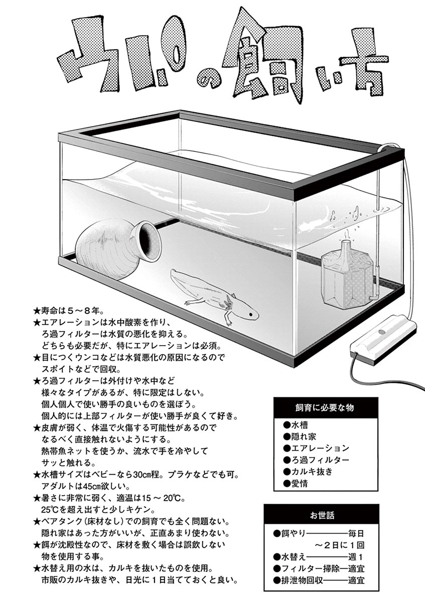 Himitsu no Reptiles Chapter 30 12ページ