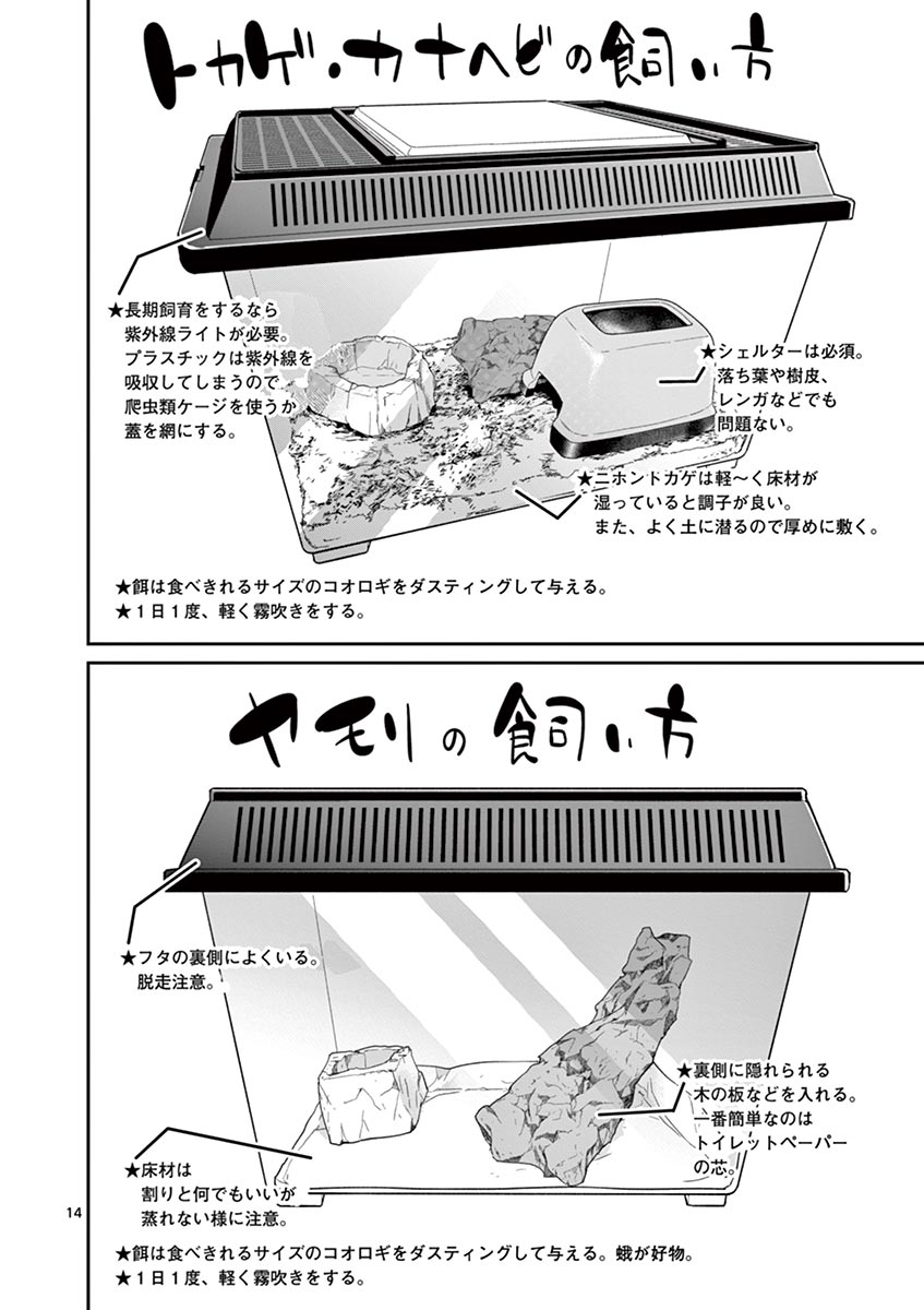 Himitsu no Reptiles Chapter 31 14ページ