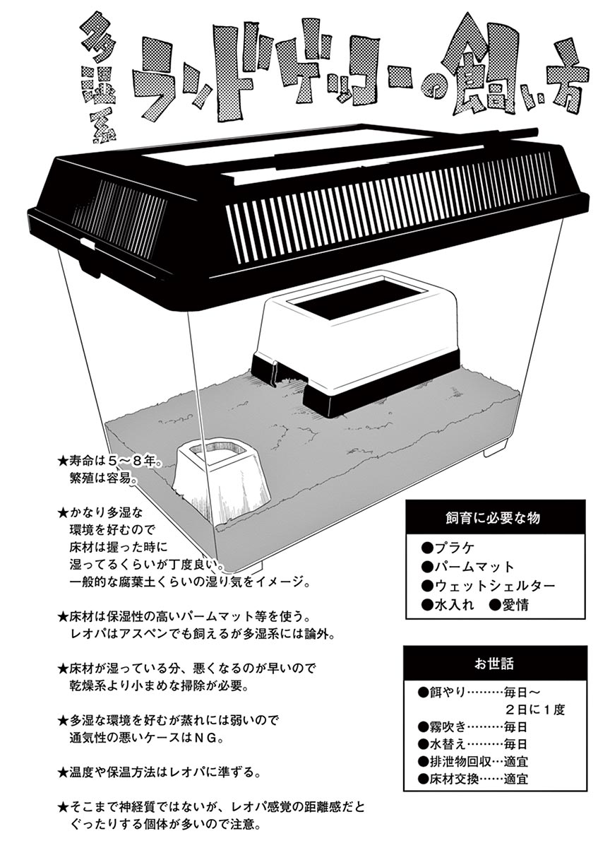 Himitsu no Reptiles Chapter 34 12ページ