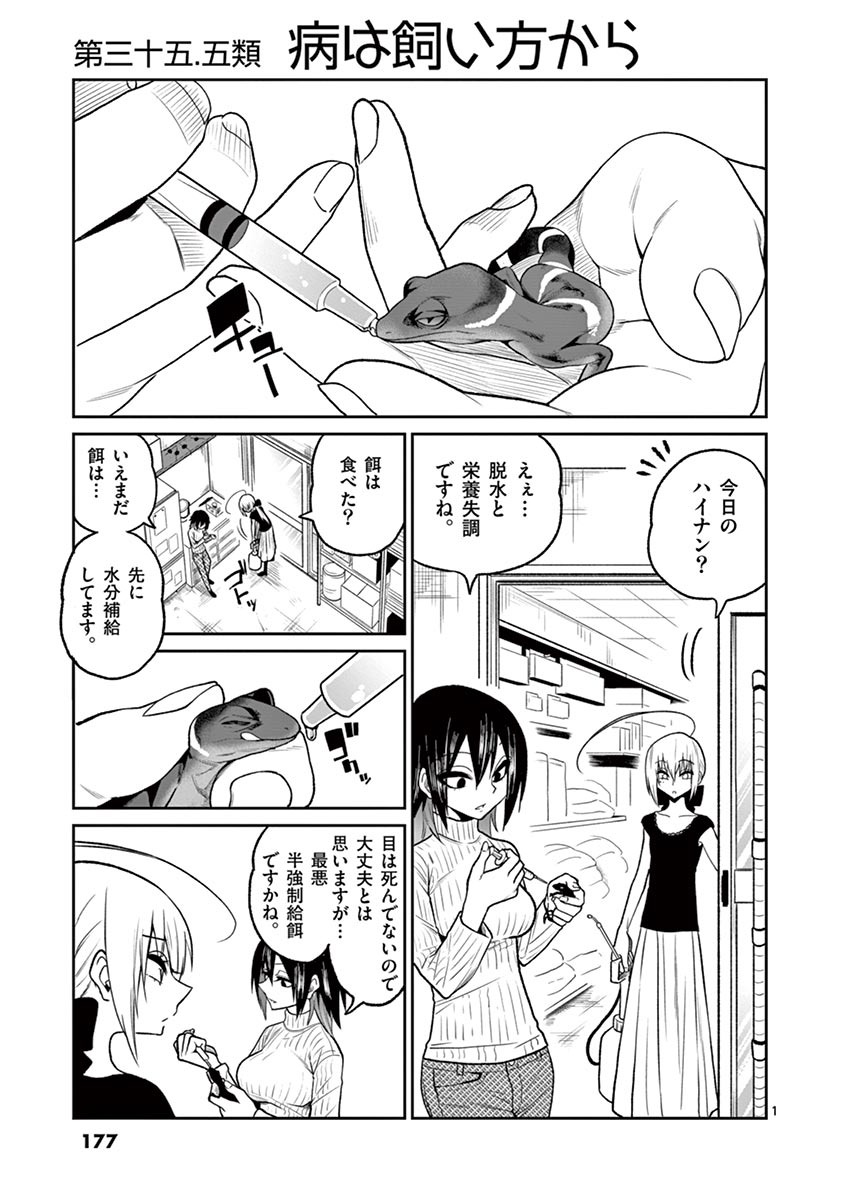 Himitsu no Reptiles Chapter 35.5 1ページ
