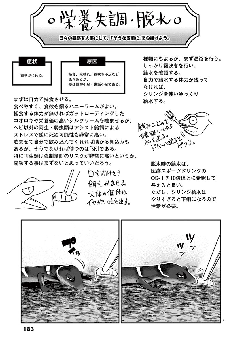 Himitsu no Reptiles Chapter 35.5 7ページ