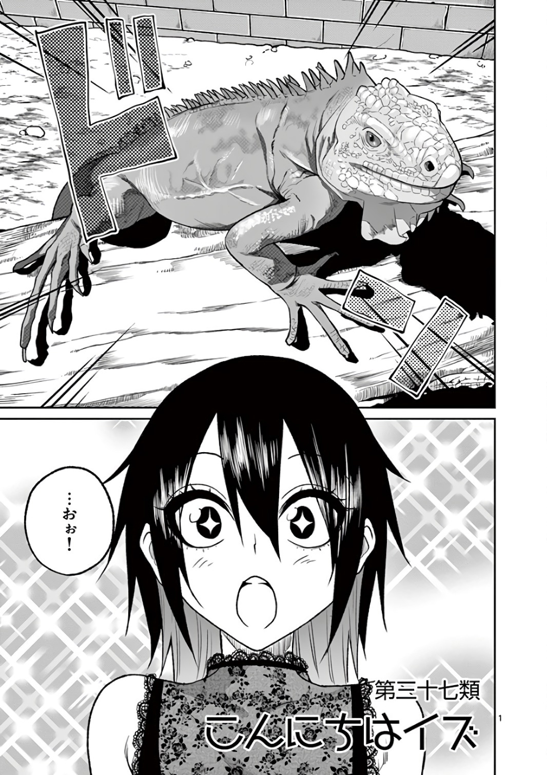 Himitsu no Reptiles Chapter 37 1ページ
