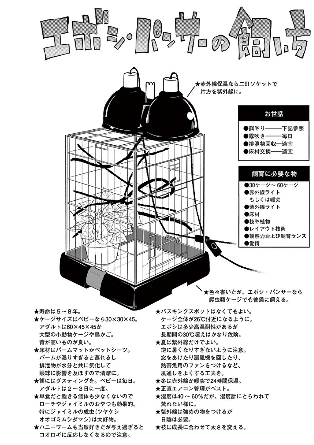 Himitsu no Reptiles Chapter 39 16ページ