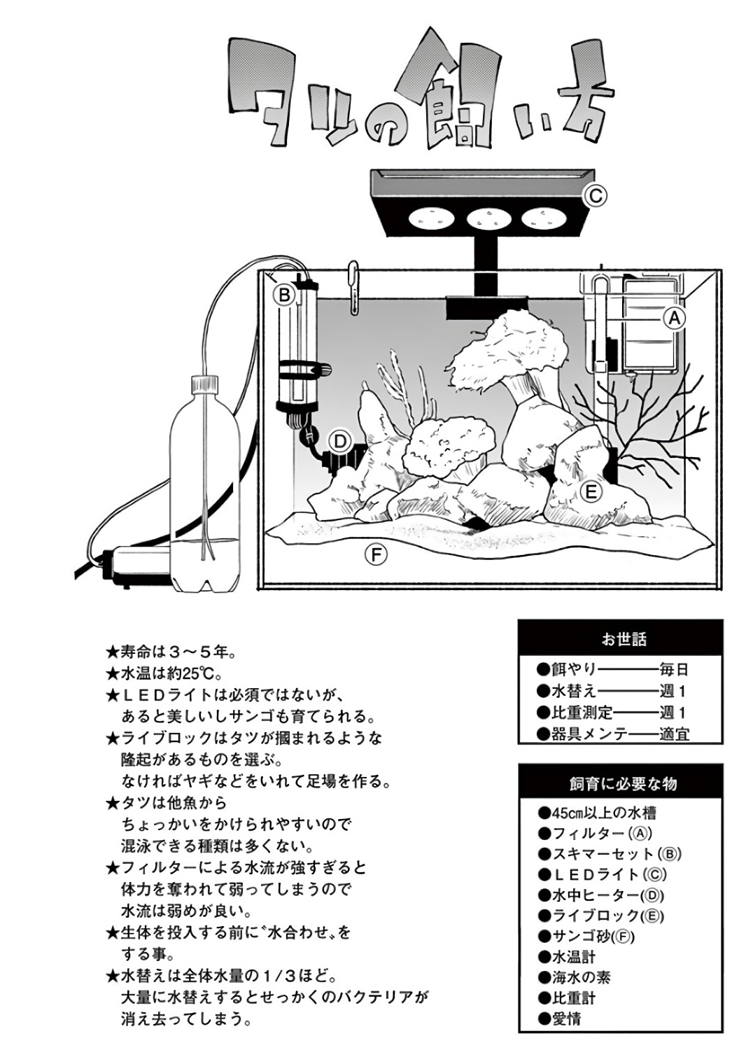 Himitsu no Reptiles Chapter 41 8ページ