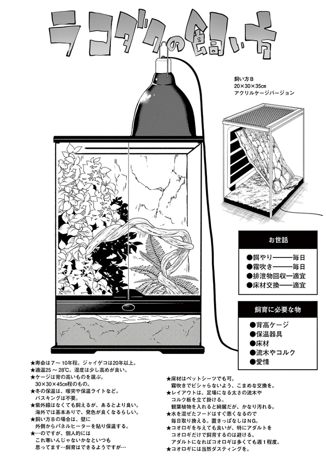 Himitsu no Reptiles Chapter 42 14ページ