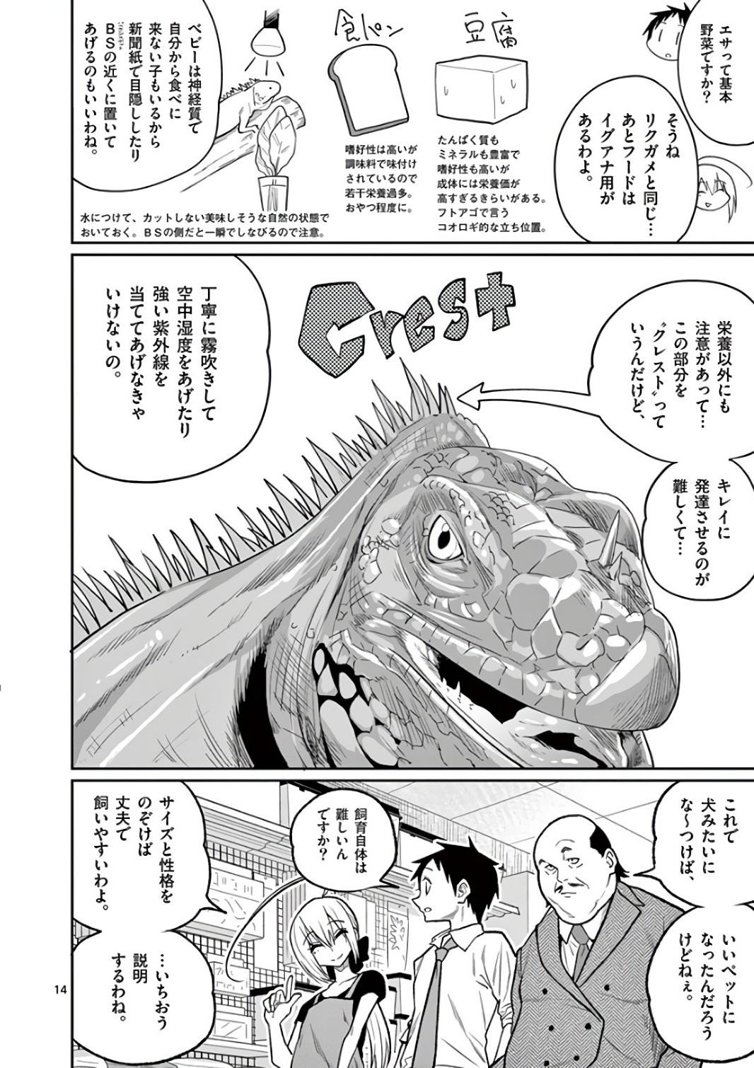 Himitsu no Reptiles Chapter 43 14ページ