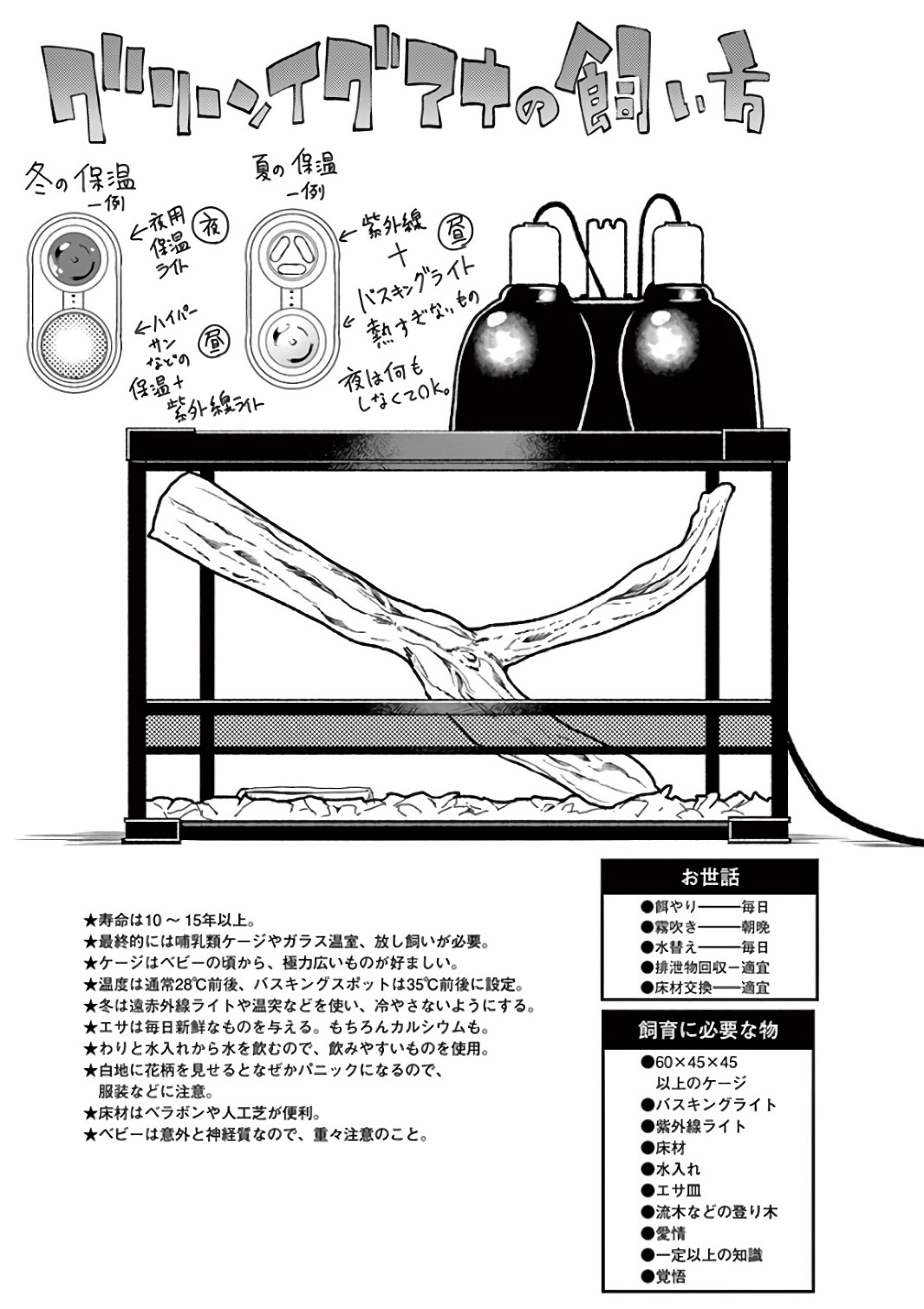 Himitsu no Reptiles Chapter 43 15ページ