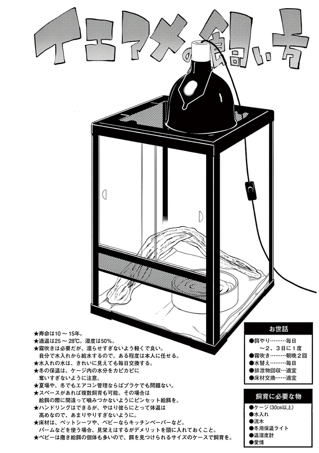 Himitsu no Reptiles Chapter 44 12ページ