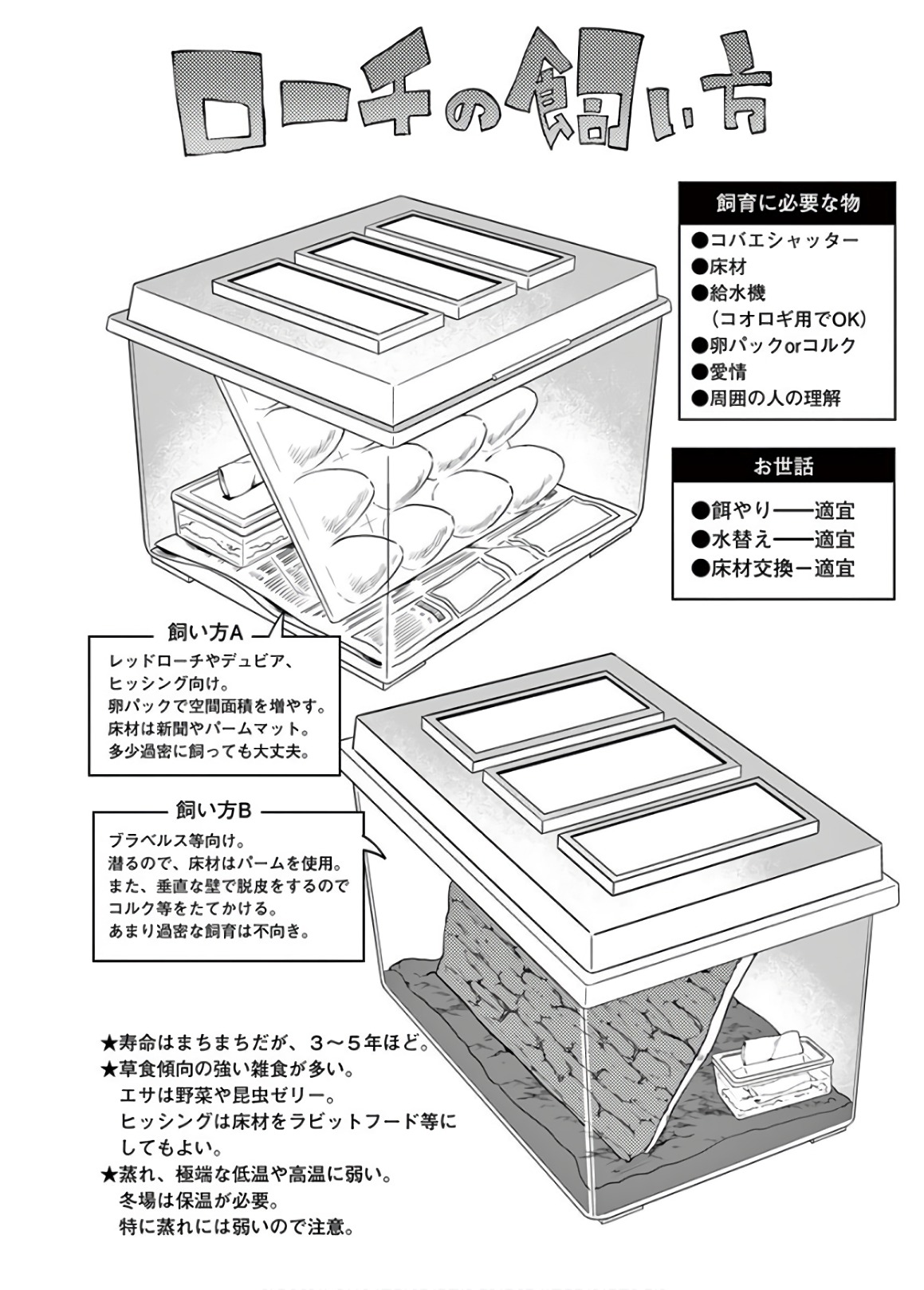 Himitsu no Reptiles Chapter 50 12ページ