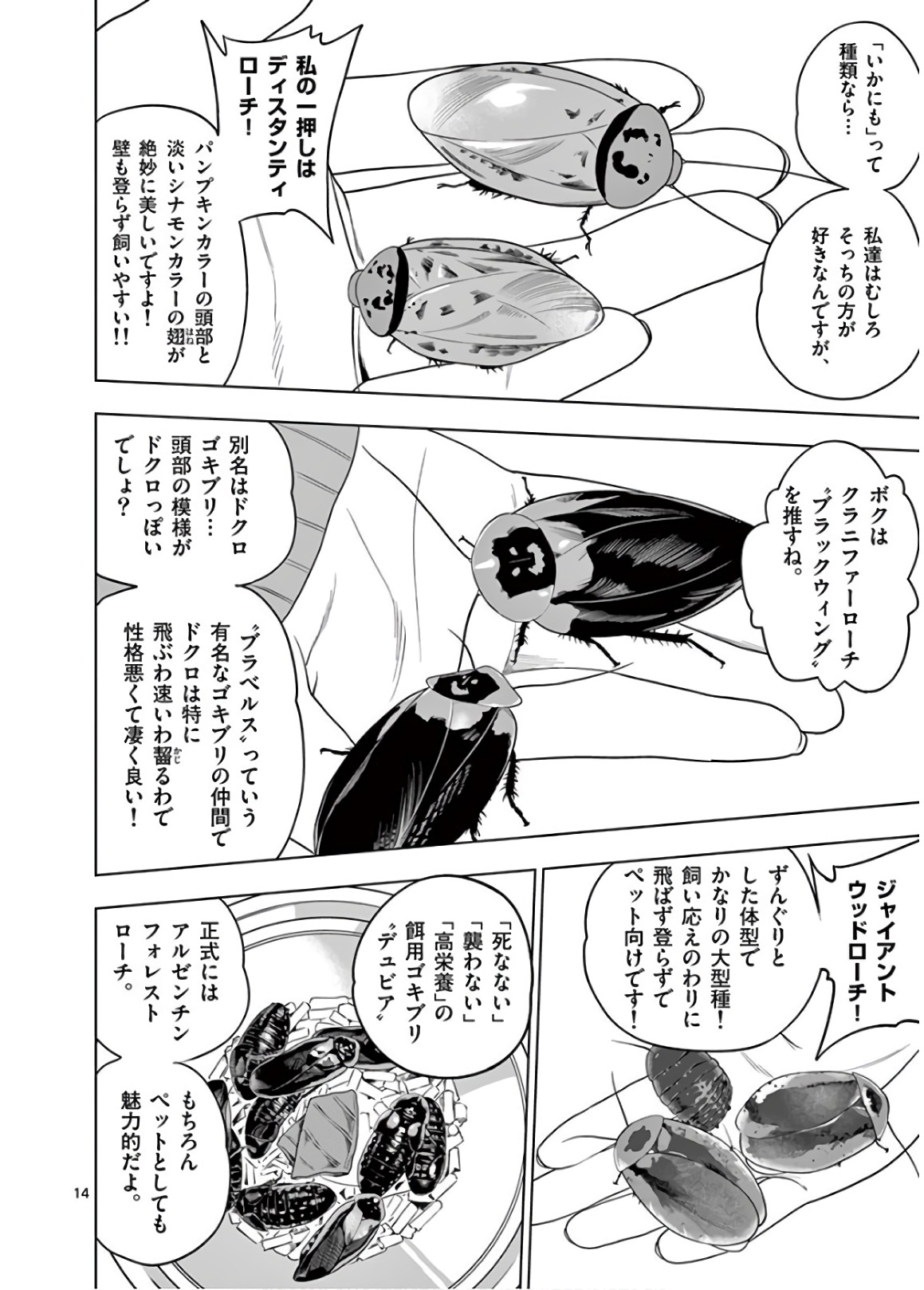 Himitsu no Reptiles Chapter 50 14ページ