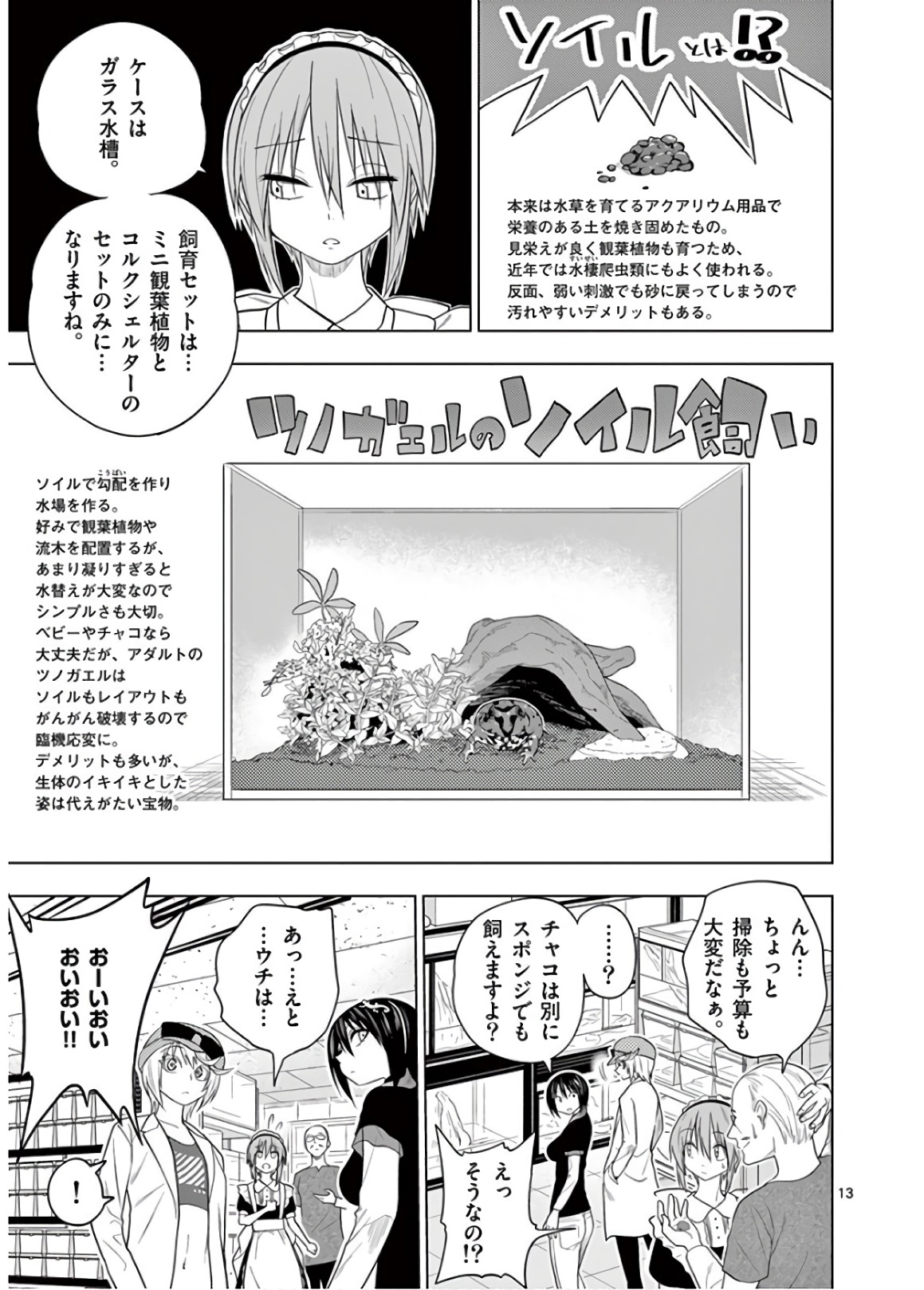 Himitsu no Reptiles Chapter 51 13ページ