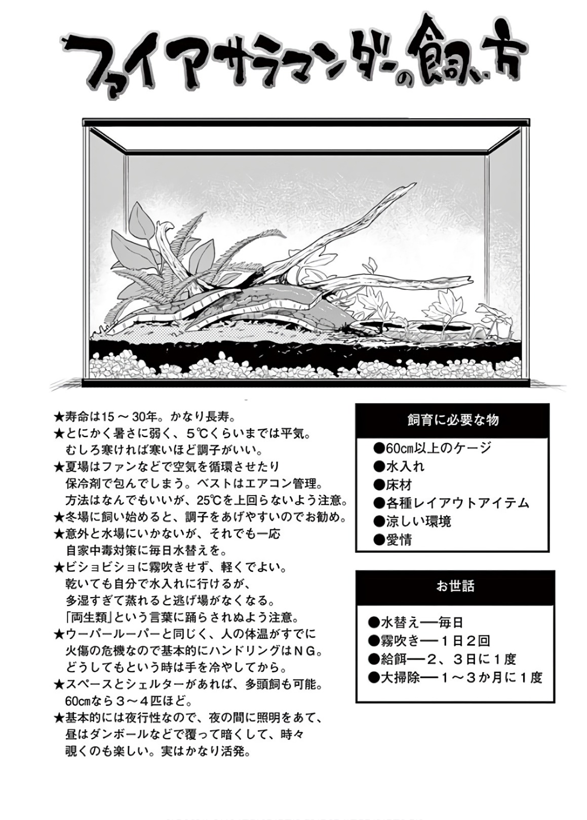 Himitsu no Reptiles Chapter 54 18ページ