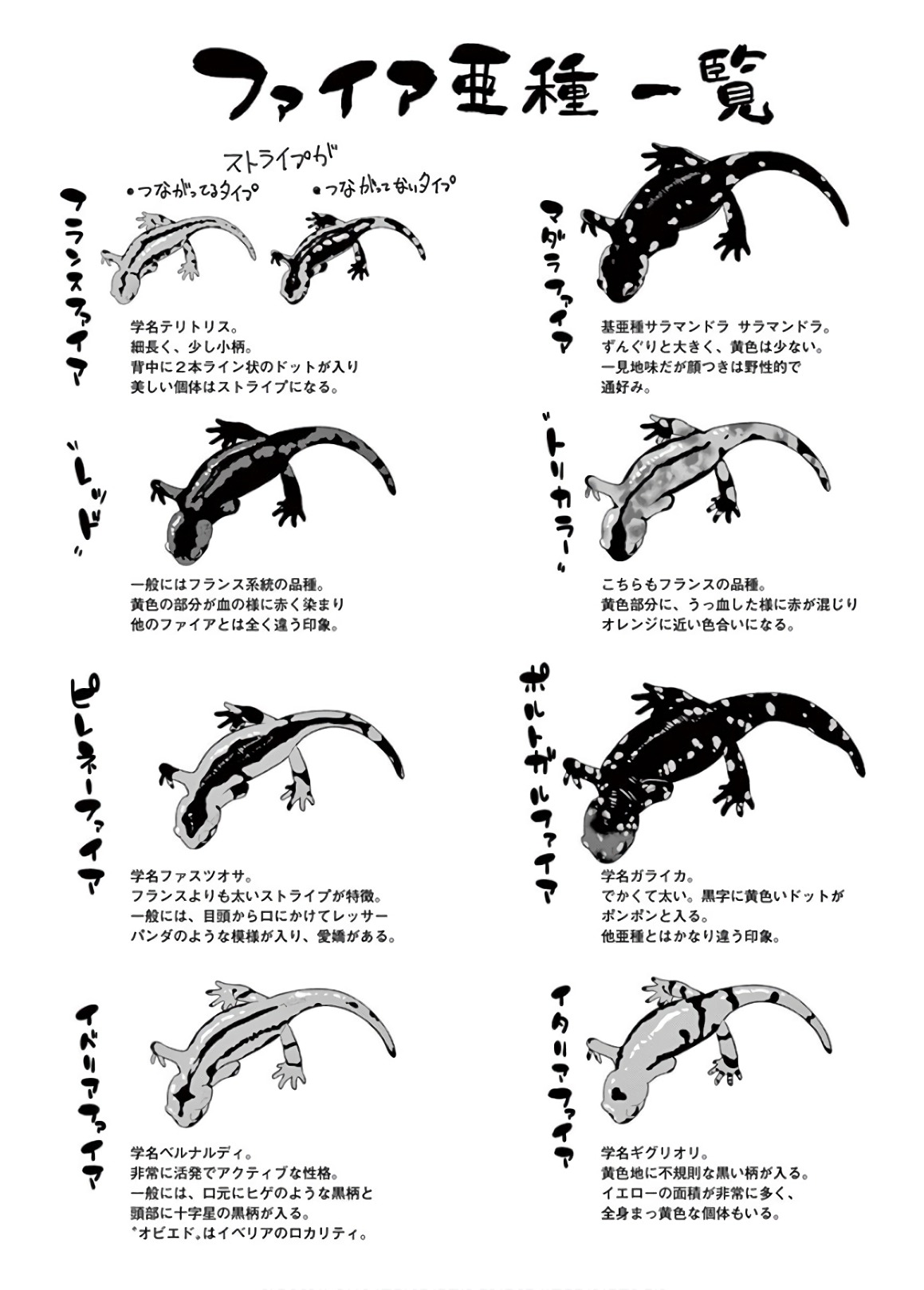 Himitsu no Reptiles Chapter 54 5ページ