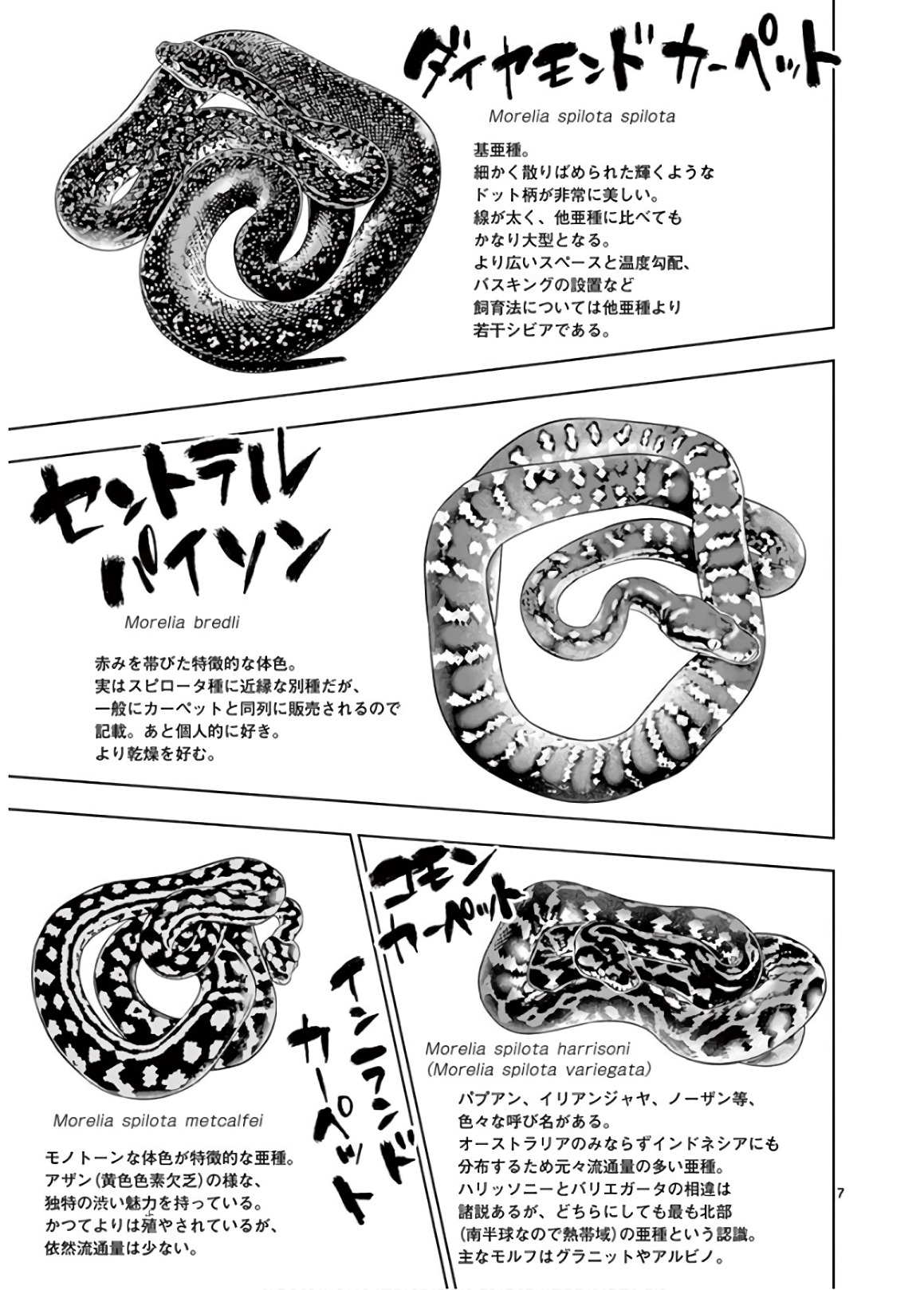 Himitsu no Reptiles Chapter 55 7ページ