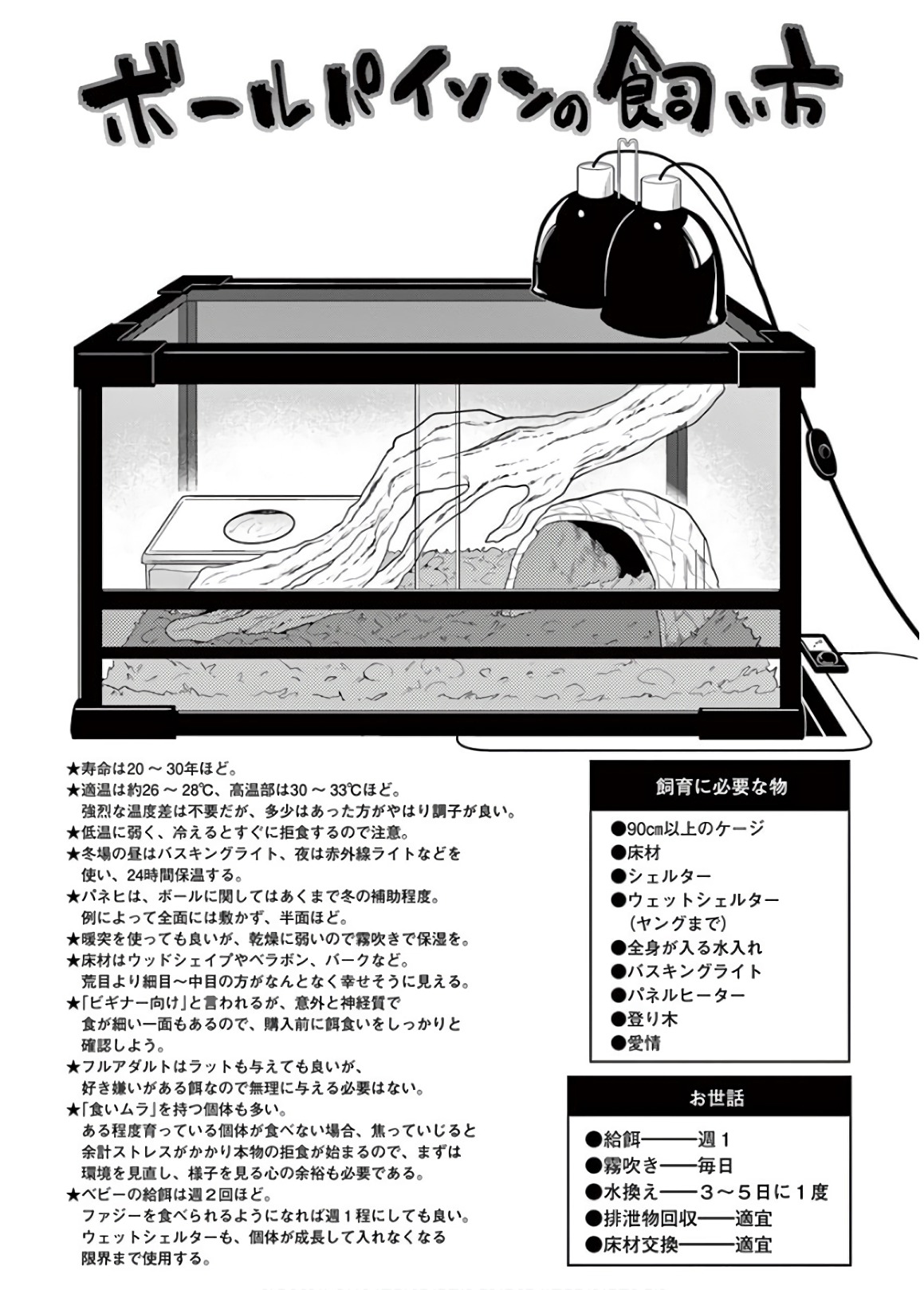 Himitsu no Reptiles Chapter 57 15ページ