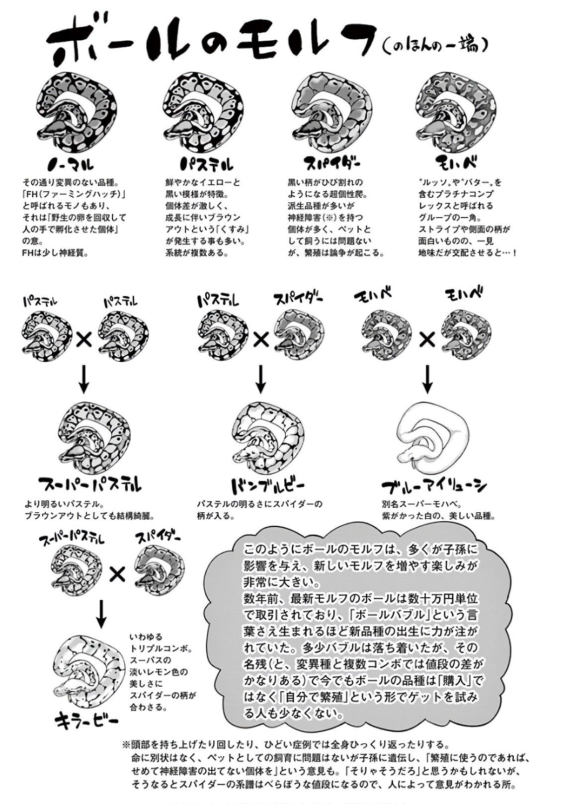 Himitsu no Reptiles Chapter 57 7ページ