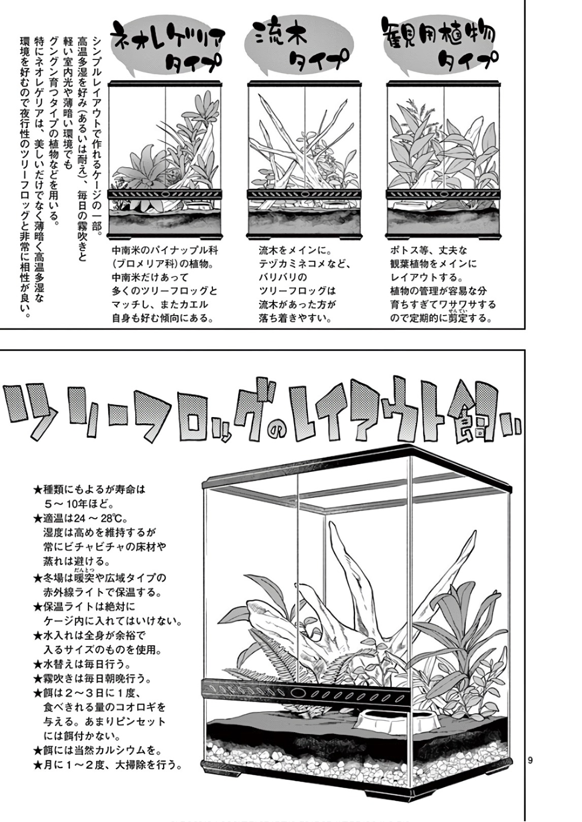 Himitsu no Reptiles Chapter 59 9ページ