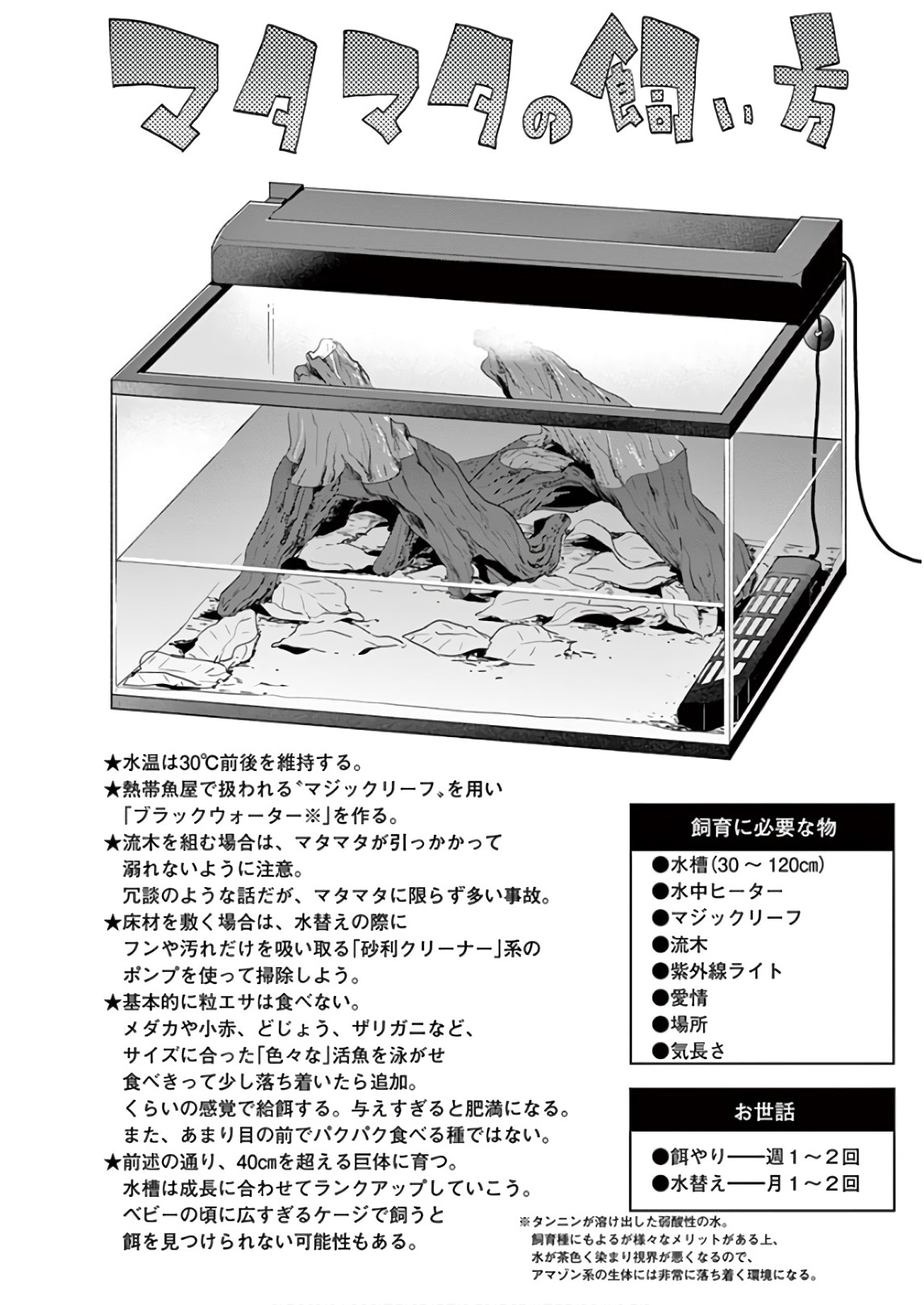 Himitsu no Reptiles Chapter 60 2ページ