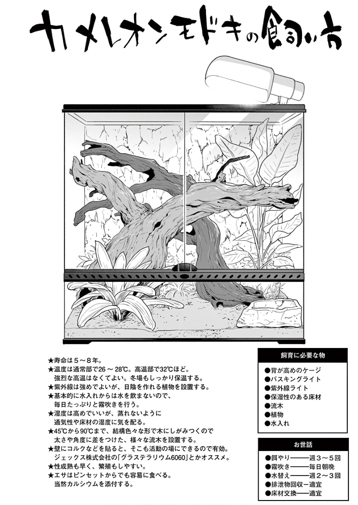Himitsu no Reptiles Chapter 60 6ページ