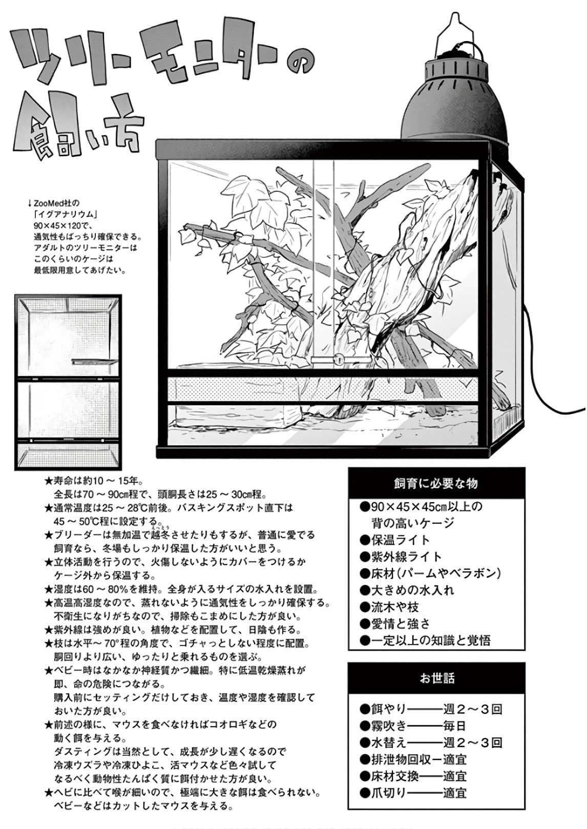 Himitsu no Reptiles Chapter 62 9ページ