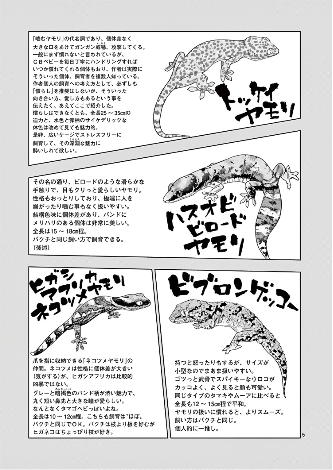 Himitsu no Reptiles Chapter 65 5ページ