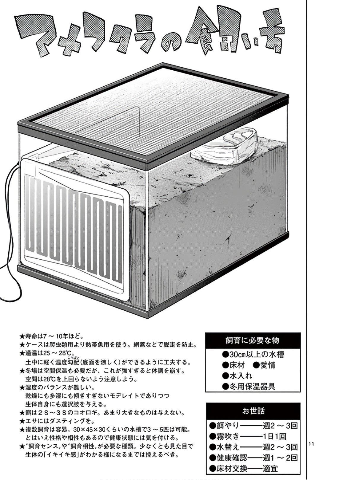Himitsu no Reptiles Chapter 68 11ページ