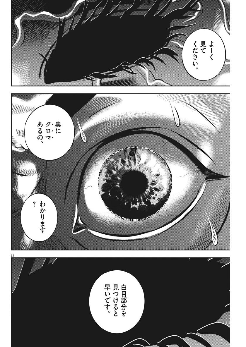 Hikari-Man Chapter 64 12ページ