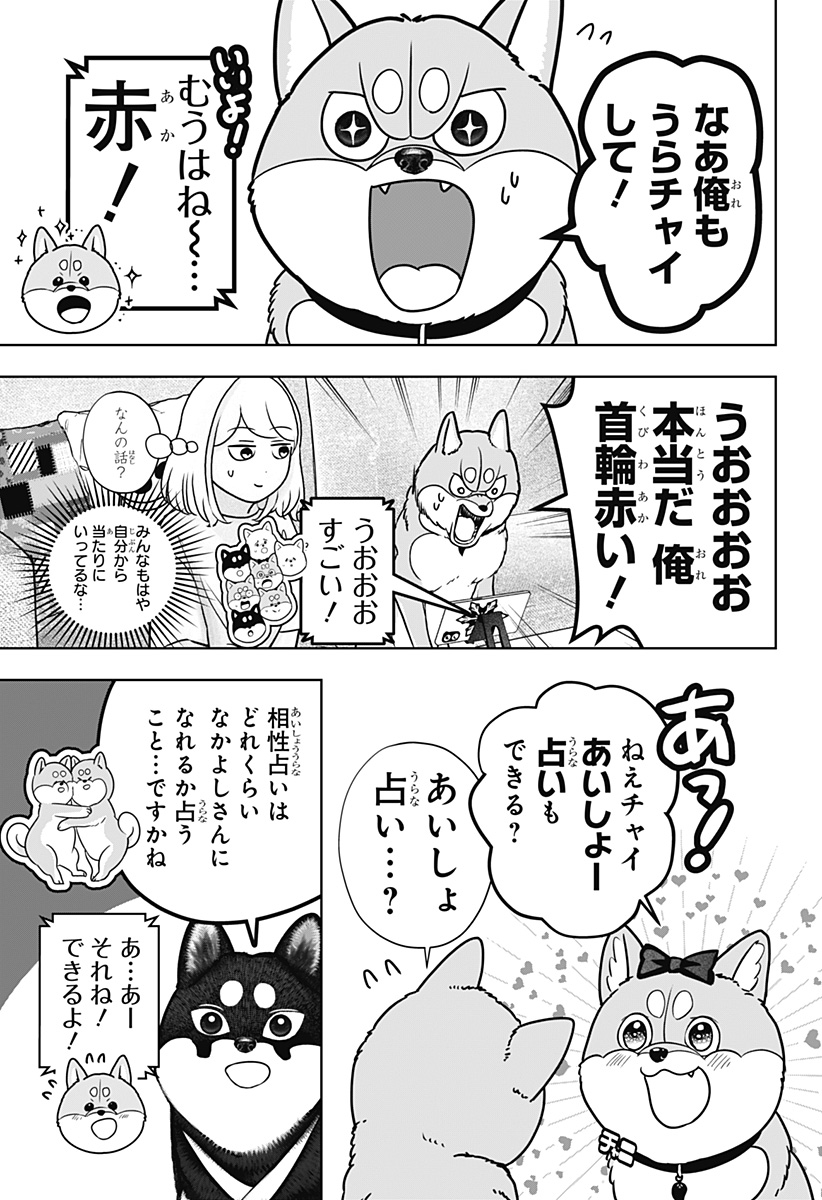 Shiba-Tsuki Bukken Chapter 58 11ページ