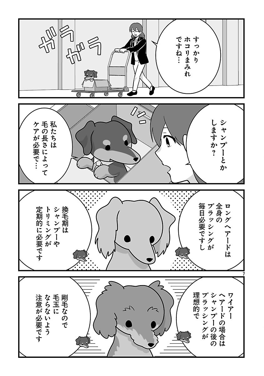 Hishowan ~Hisho wa Inu Desu ga Nanika?~ Chapter 8.2 9ページ