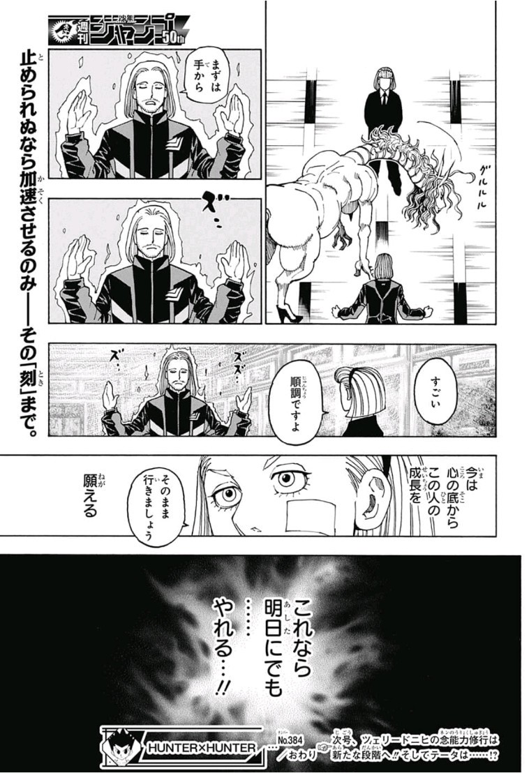 Hunter x Hunter Chapter 384 17ページ