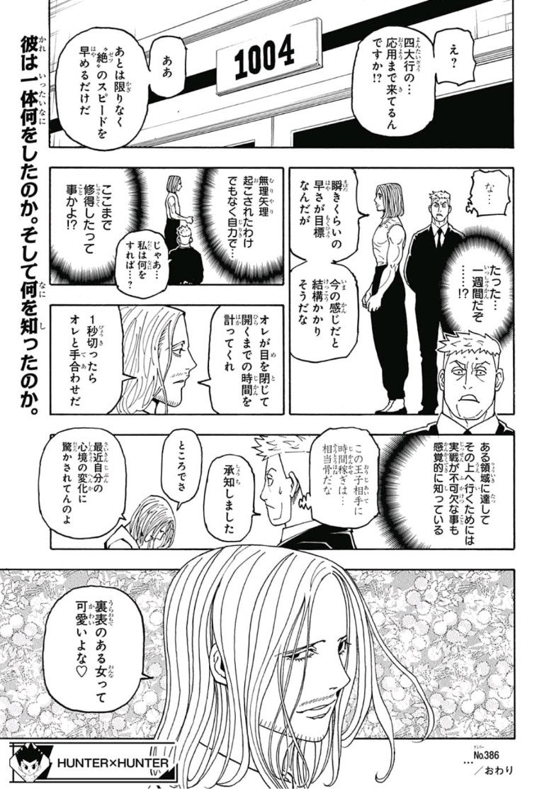 Hunter x Hunter Chapter 386 19ページ