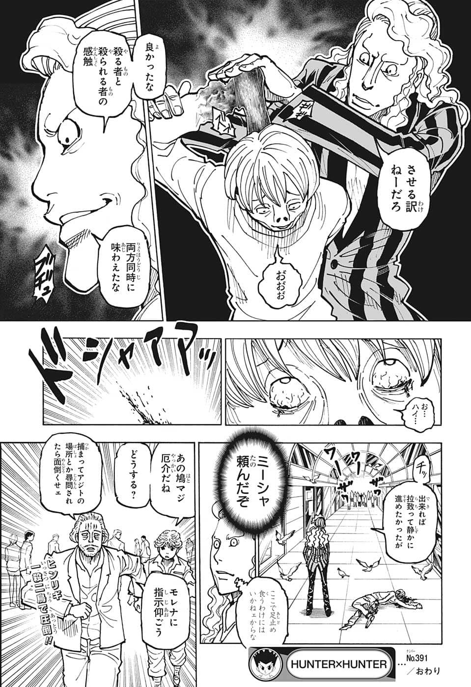 Hunter x Hunter Chapter 391 21ページ