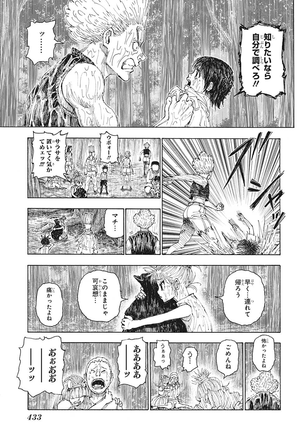 Hunter x Hunter Chapter 397 11ページ