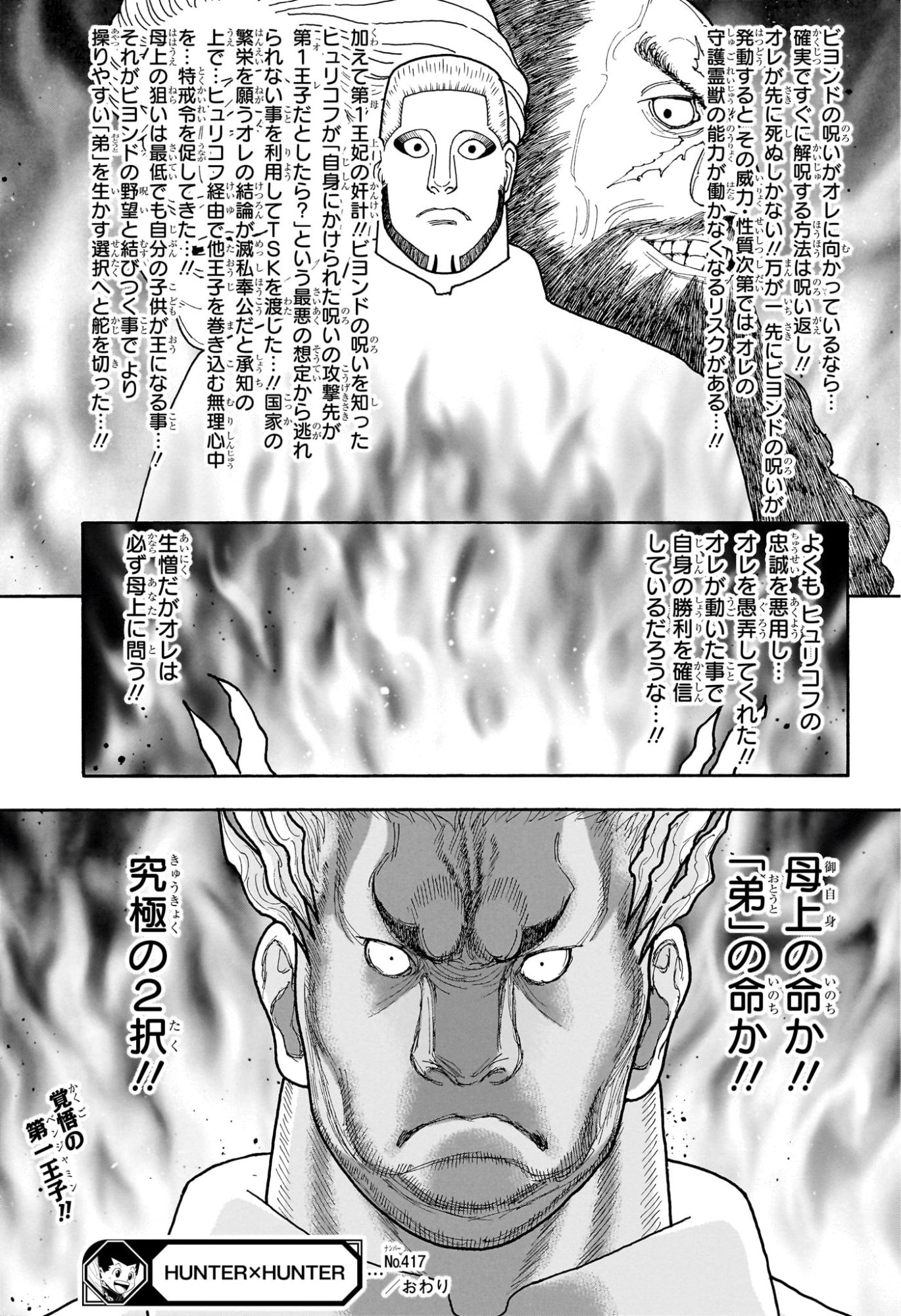 Hunter x Hunter Chapter 417 19ページ