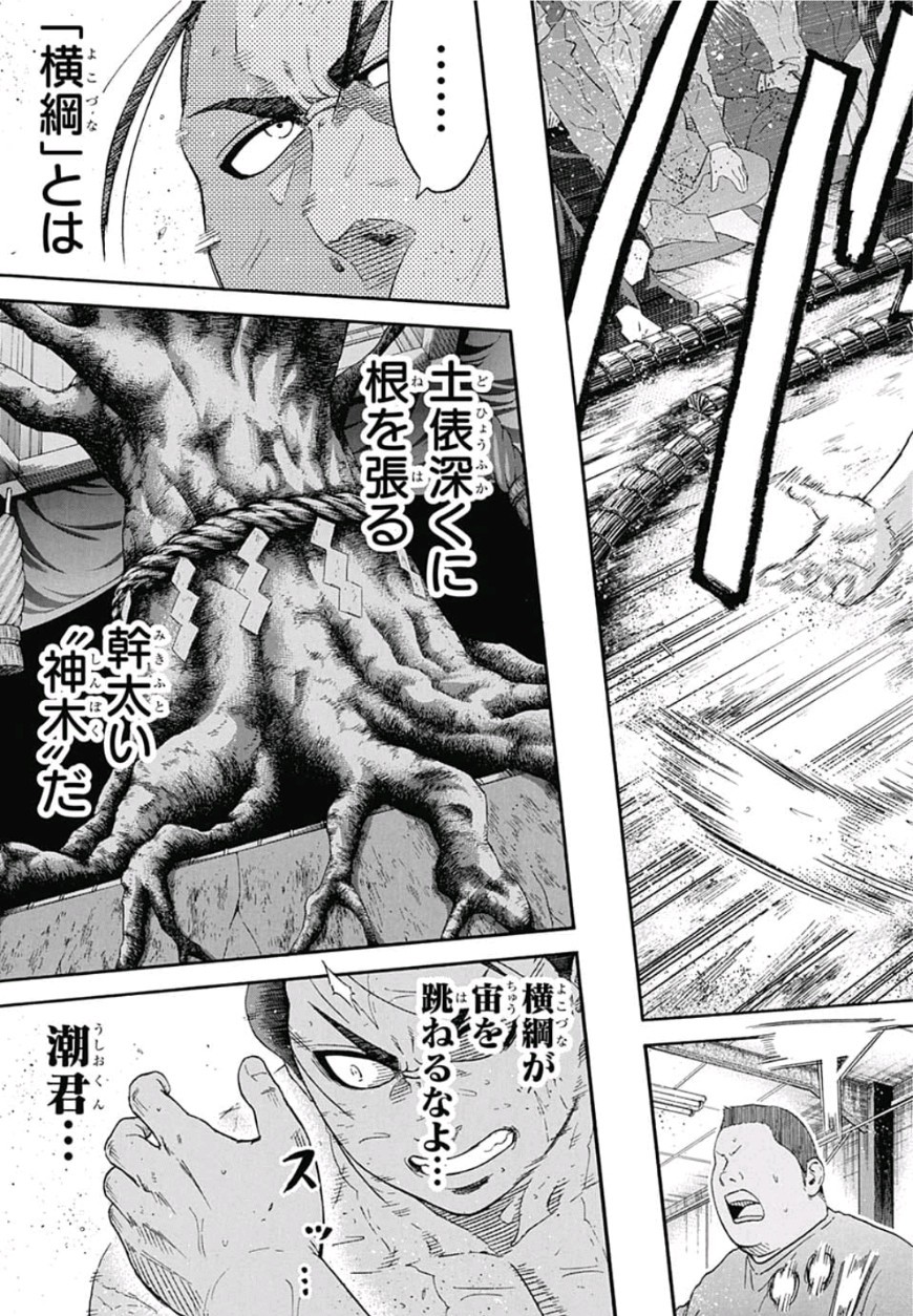 Hinomaru-Zumou Chapter 221 11ページ