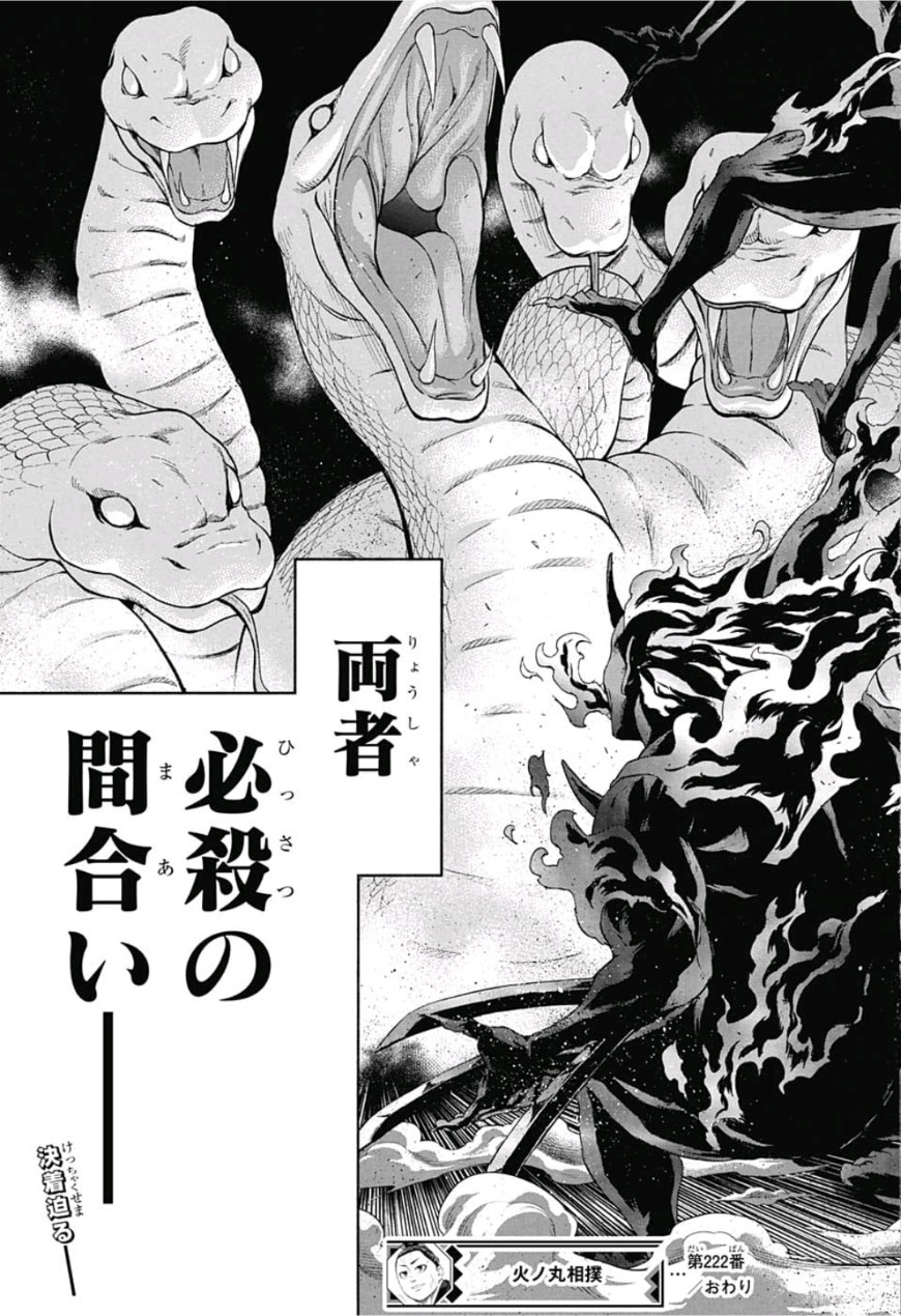 Hinomaru-Zumou Chapter 222 19ページ