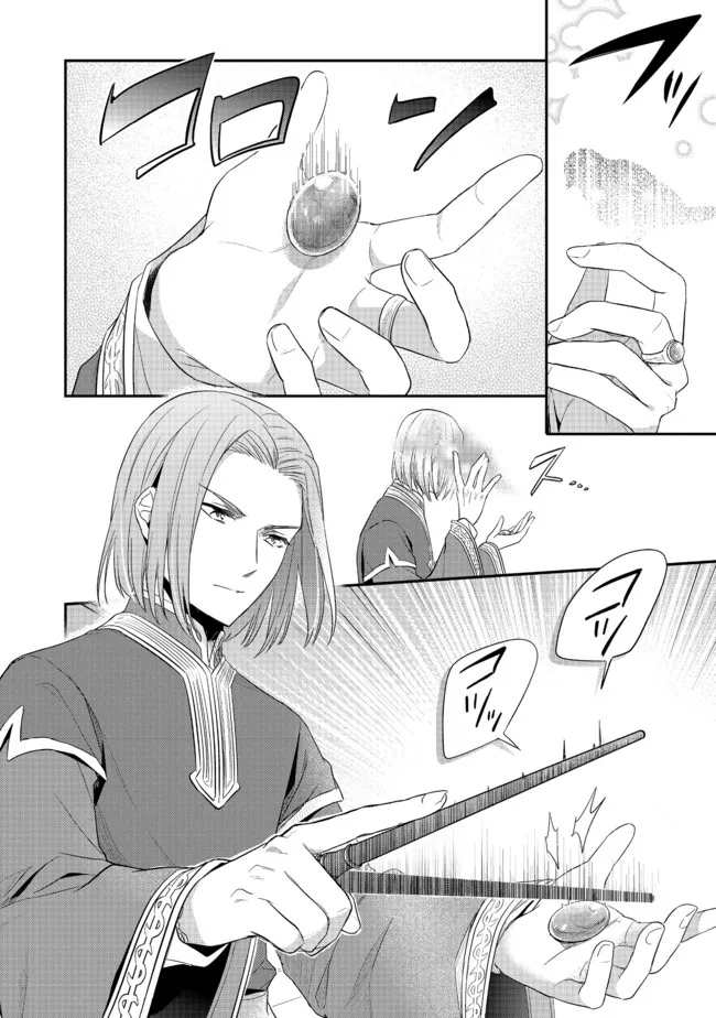 Honzuki no Gekokujou Part 2 Chapter 33.2 9ページ