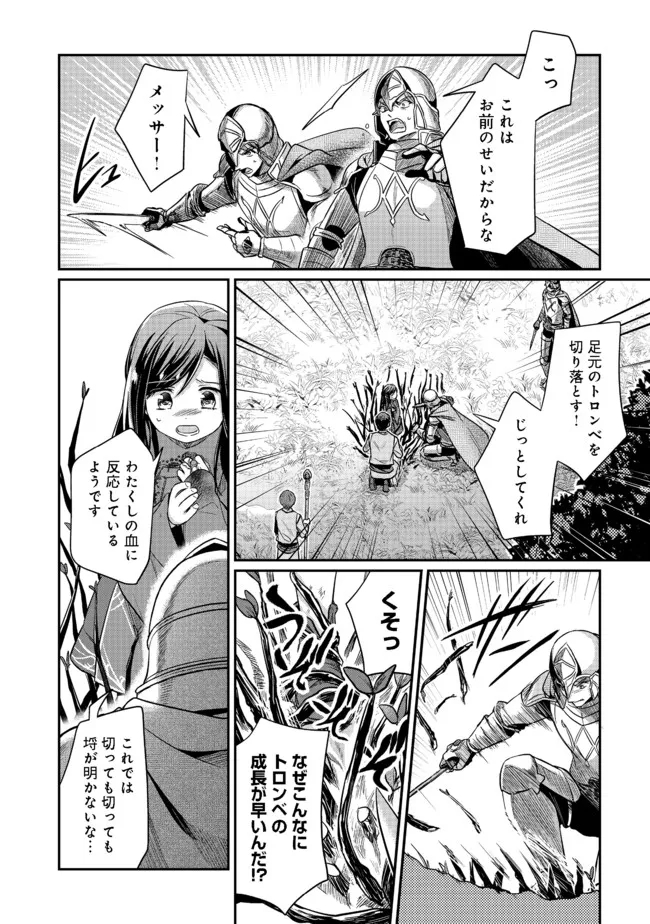 Honzuki no Gekokujou Part 2 Chapter 35.2 11ページ