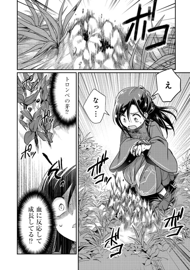 Honzuki no Gekokujou Part 2 Chapter 35.2 9ページ