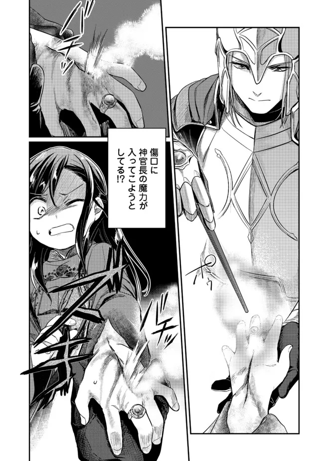 Honzuki no Gekokujou Part 2 Chapter 36.1 6ページ
