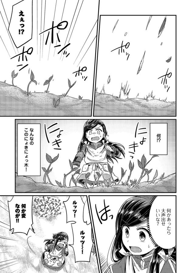 Honzuki no Gekokujou Part 1 Chapter 16 17ページ