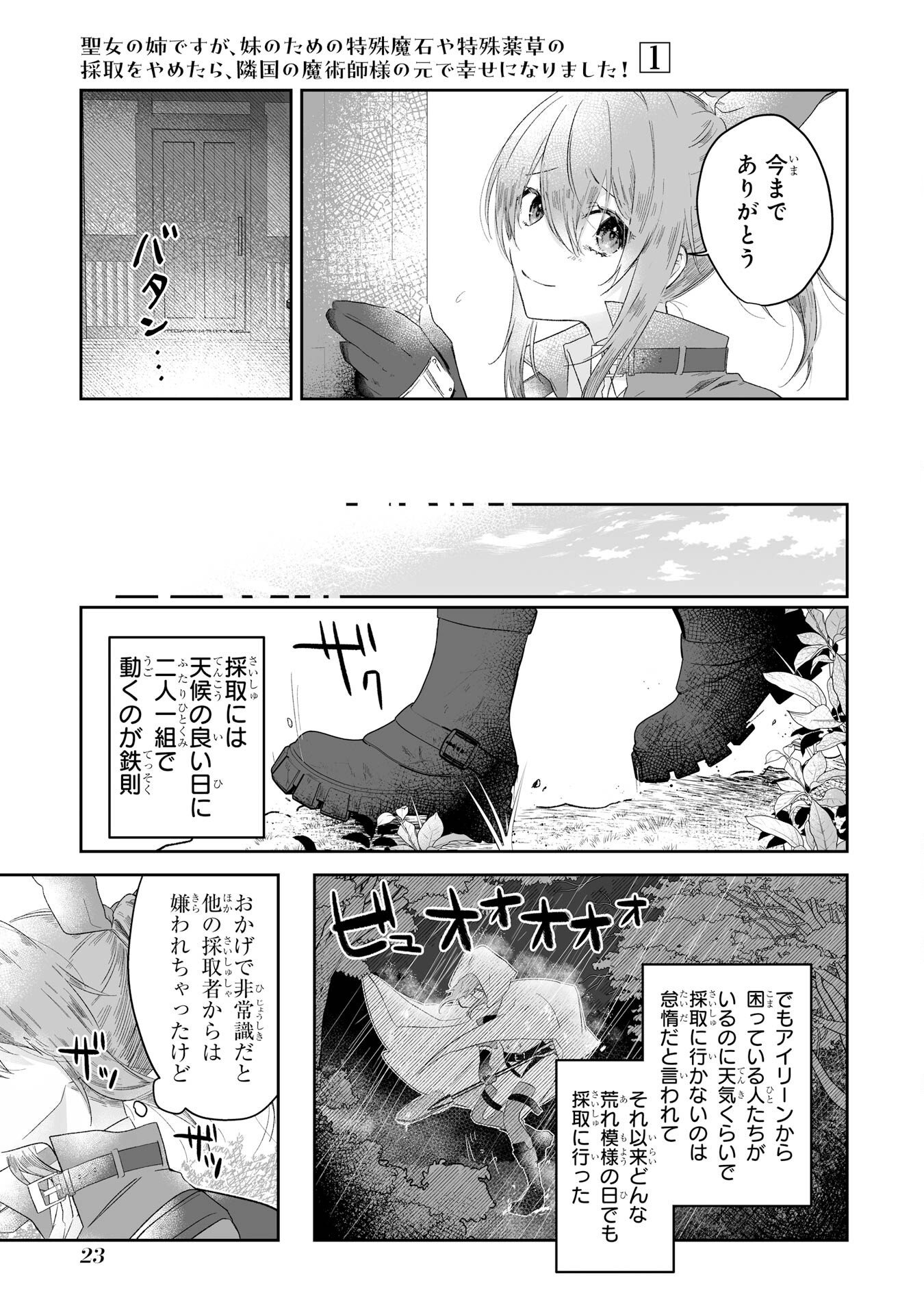 Seijou no Ane desu ga, Imouto no Tame no Tokushu Masekiya Tokushu Yakusou no Saishu wo Yametara, Ringoku no Majutsushi-sama no Moto de Shiawase ni narimashita! Chapter 1 21ページ