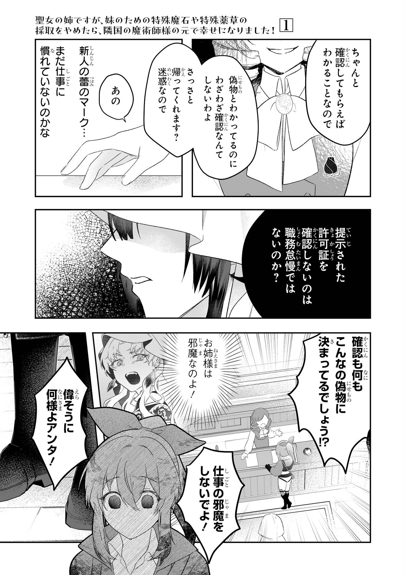 Seijou no Ane desu ga, Imouto no Tame no Tokushu Masekiya Tokushu Yakusou no Saishu wo Yametara, Ringoku no Majutsushi-sama no Moto de Shiawase ni narimashita! Chapter 2 27ページ