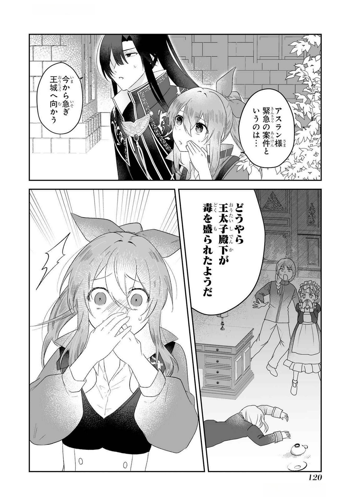 Seijou no Ane desu ga, Imouto no Tame no Tokushu Masekiya Tokushu Yakusou no Saishu wo Yametara, Ringoku no Majutsushi-sama no Moto de Shiawase ni narimashita! Chapter 3 12ページ