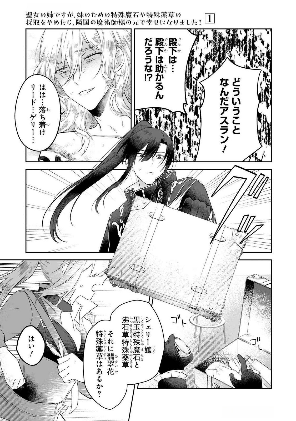 Seijou no Ane desu ga, Imouto no Tame no Tokushu Masekiya Tokushu Yakusou no Saishu wo Yametara, Ringoku no Majutsushi-sama no Moto de Shiawase ni narimashita! Chapter 3 19ページ